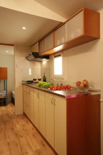 Mobile Homes Adria Ankaran