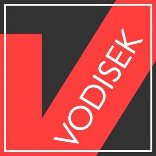 Hotel Vodisek