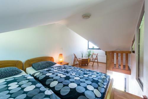 Apartments Jaka