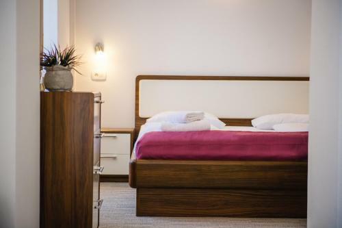 Hostal Villa Andor