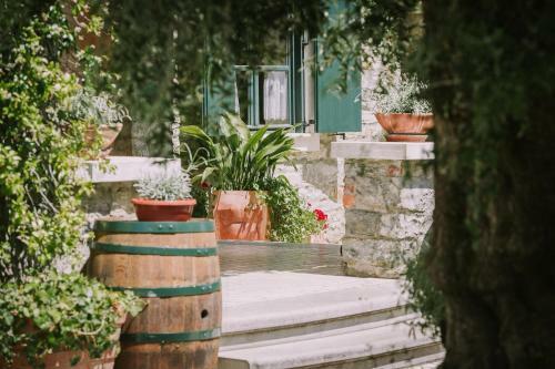 Hostal Villa Andor