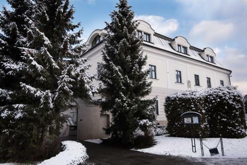 Hotel Villa Ne?as ?ilina