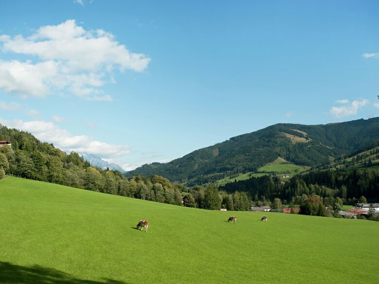 Cozy Pet-friendly Apartment In Leogang