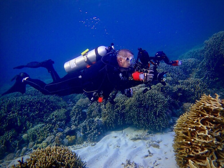 Hotel Alegria Dive Resort