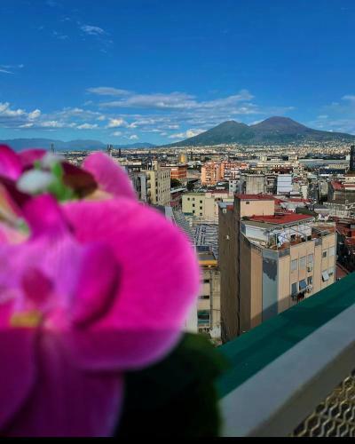 Hotel B&B Napoli's Rooftop