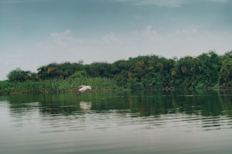 Ngoma Camp Site