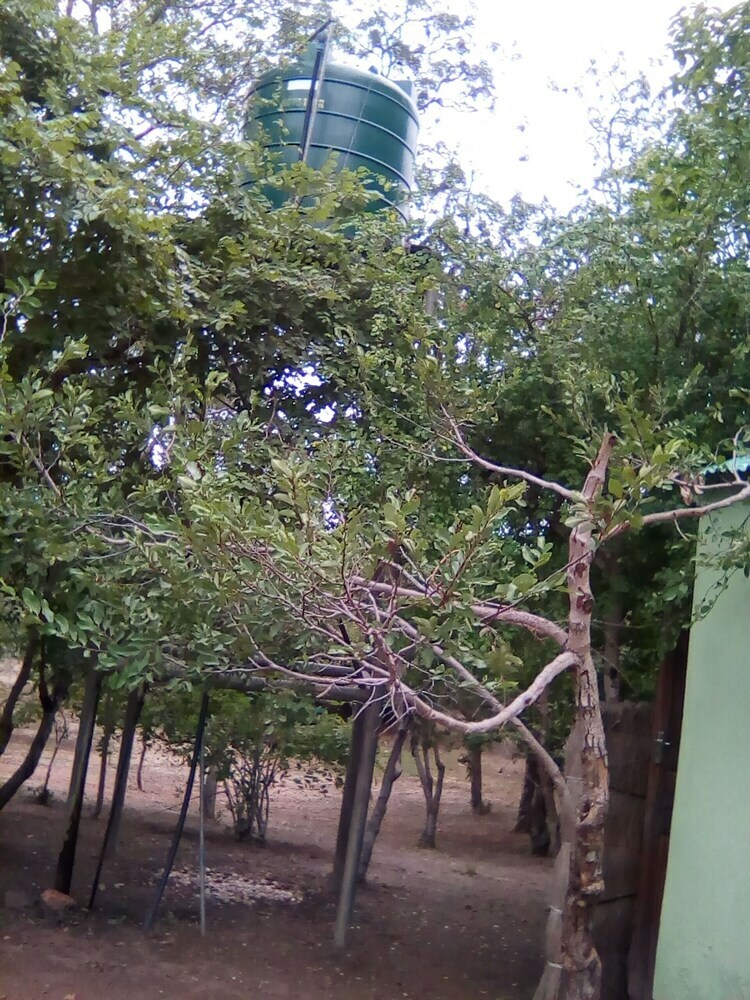 Ngoma Camp Site