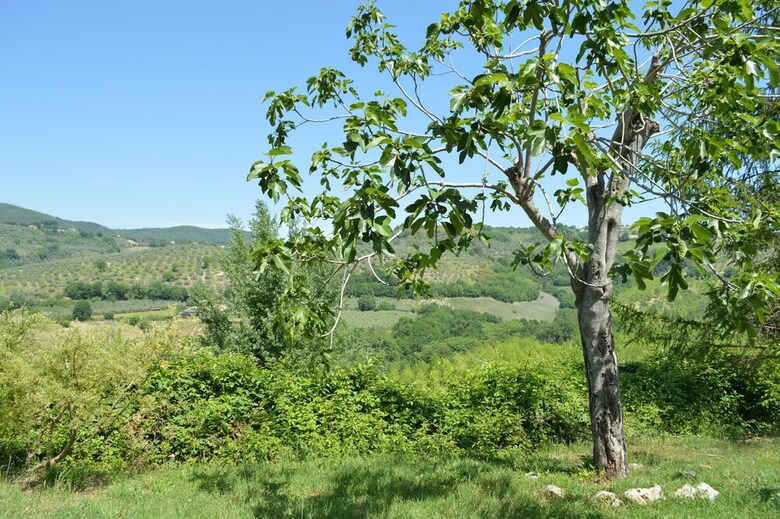 Apartamento Villa Dei Girasoli