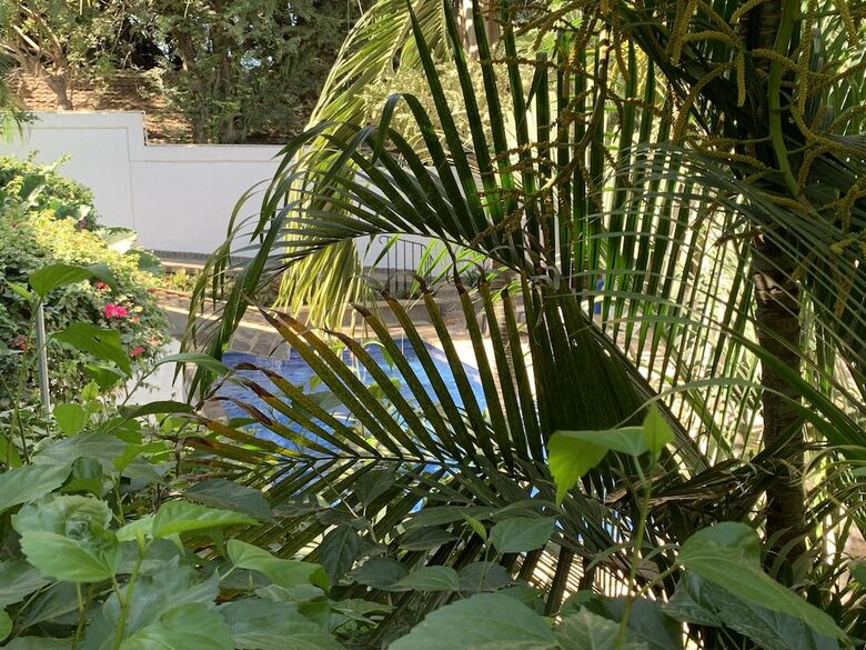 Hotel Flores - Adults Only
