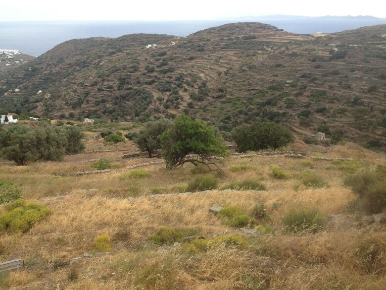 Apartamentos Aegean Boutique Suites
