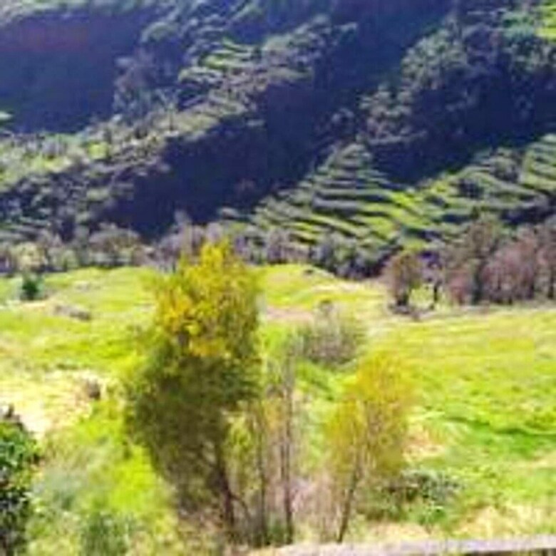 House With 2 Bedrooms In Lombo Do Doutor, With Wifi