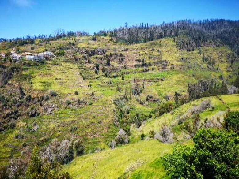 House With 2 Bedrooms In Lombo Do Doutor, With Wifi
