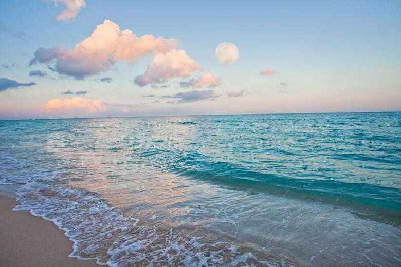 Hotel Holiday Inn Miami Beach