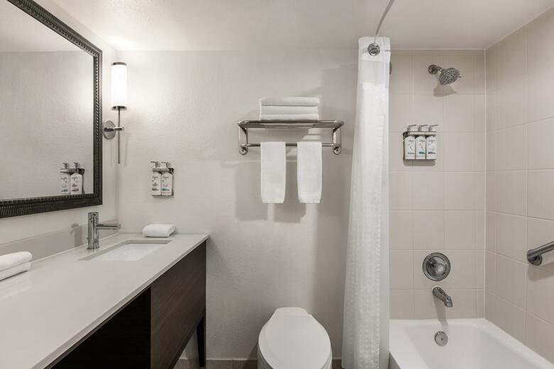 Hotel Holiday Inn Miami Beach