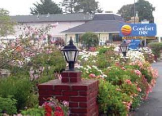 Hotel Comfort Inn Monterey By The Sea