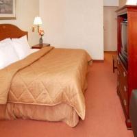 Hotel Comfort Inn Bwi