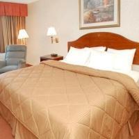 Hotel Comfort Inn Bwi