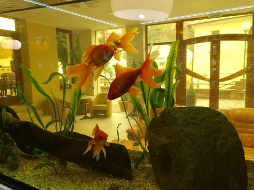 Hotel & Penzi�n Grand Matej