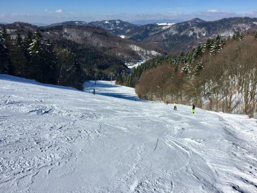 Hotel & Penzi�n Grand Matej
