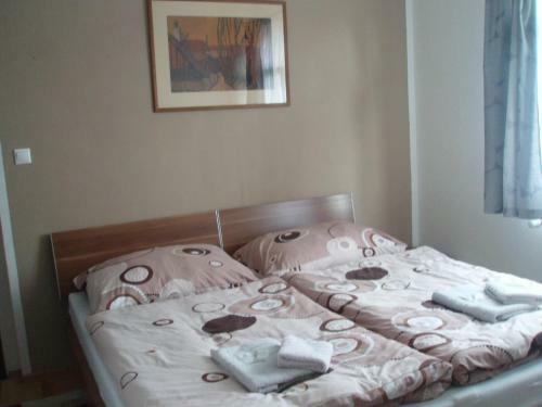 Hostal Penzi�n Terra Banensium