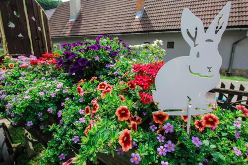 Hostal Penzi�n Star� Hostinec