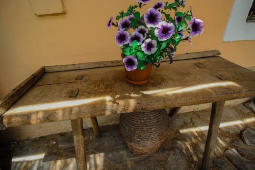 Hostal Penzi�n Star� Hostinec