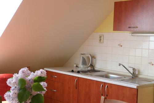 Hostal Penzion Kremenisko