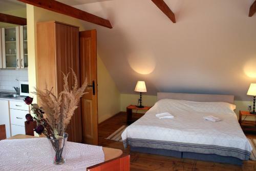 Hostal Penzion Kremenisko