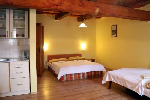 Hostal Penzion Kremenisko