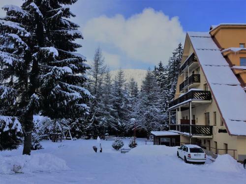 Apartamentos Studio Erika- Spie?ovec