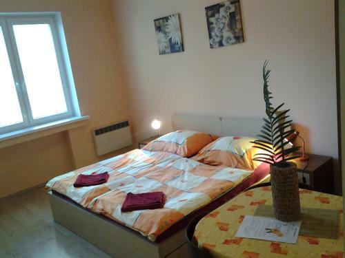 Apartments Blue Danube