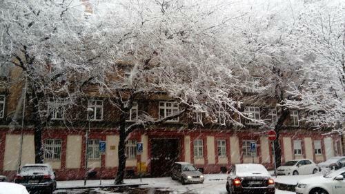 Apartments Blue Danube