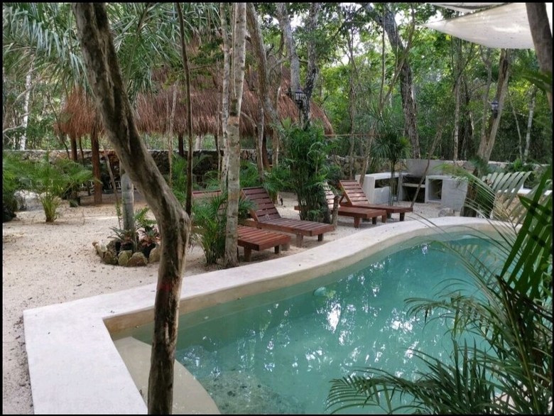 Apartamentos Jungle Penthouse