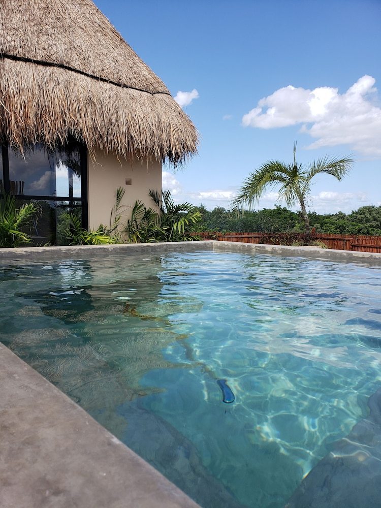 Apartamentos Jungle Penthouse
