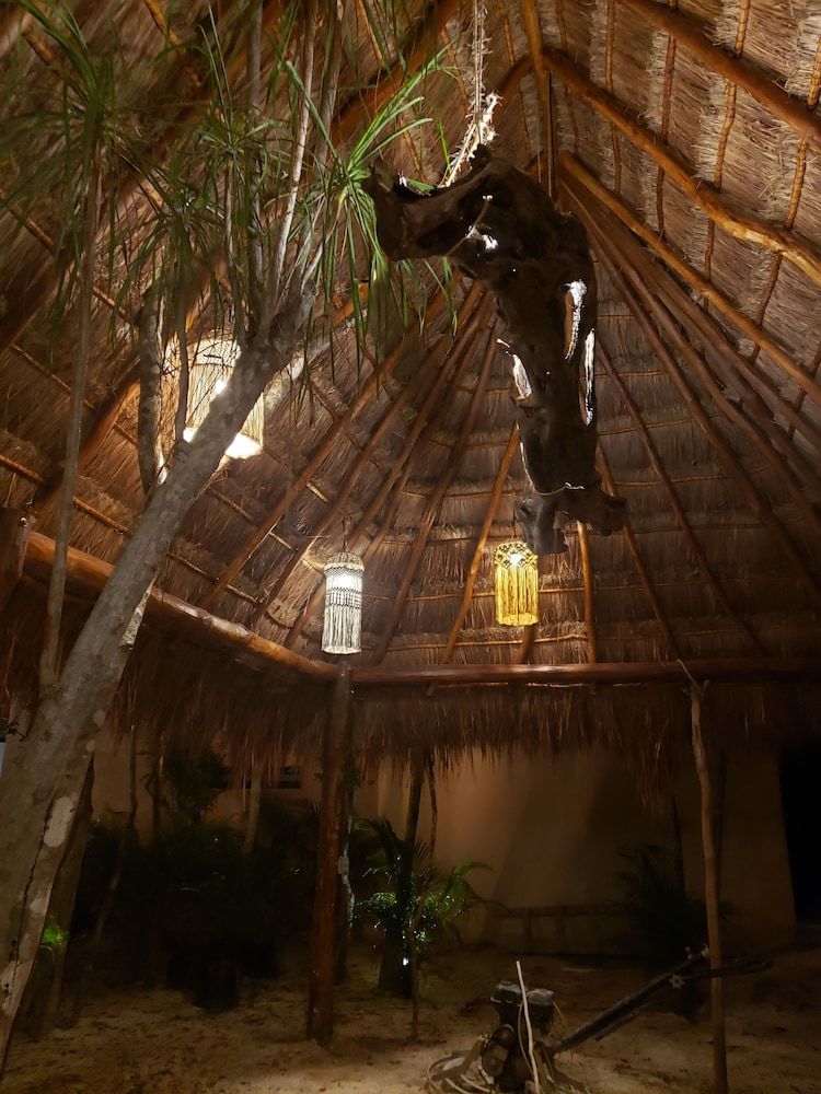 Apartamentos Jungle Penthouse