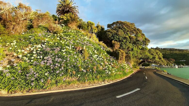 Hotel Madhuban - Waterfront In Whangaroa
