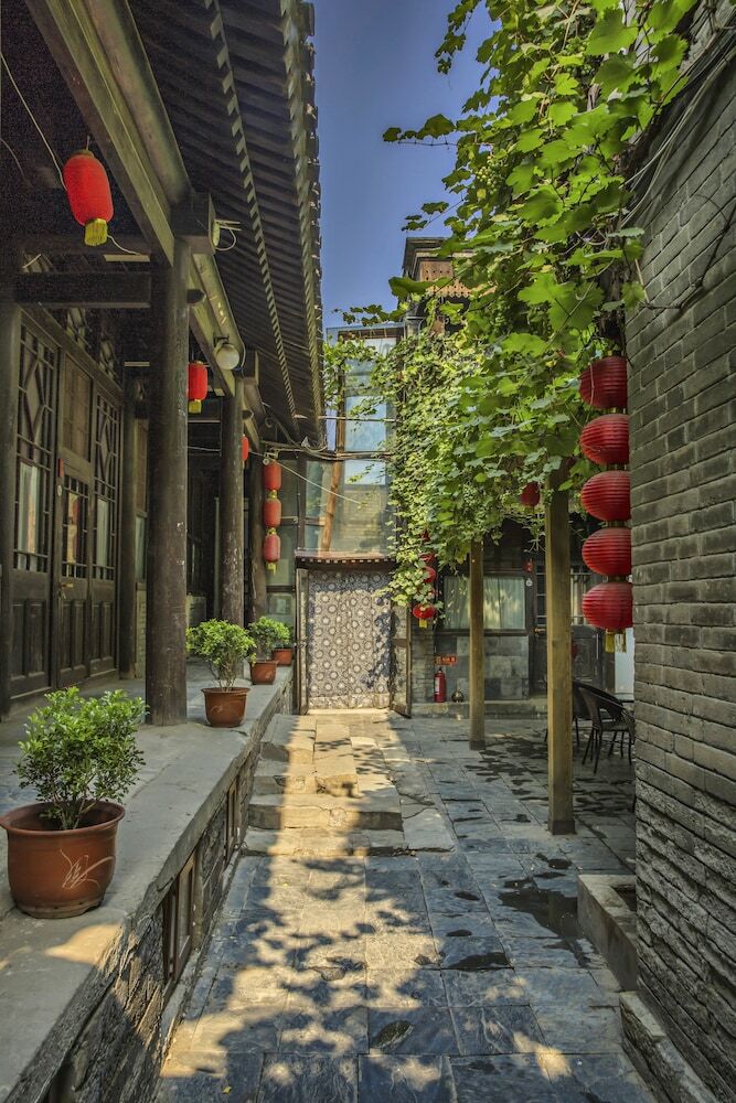 Posada Hill Lily Courtyard