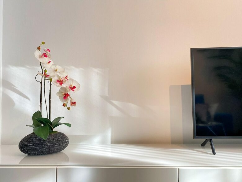 Apartamentos Iloftmalaga Plaza de La Marina