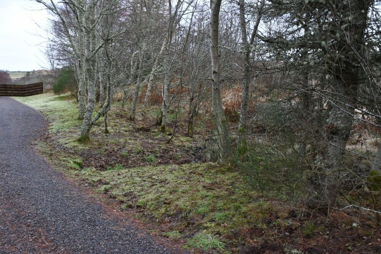 Modern 2 Bed Bungalow