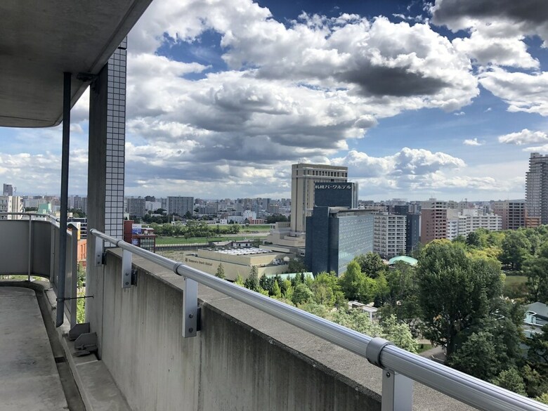 Apartamentos Ams Tower Nakajima