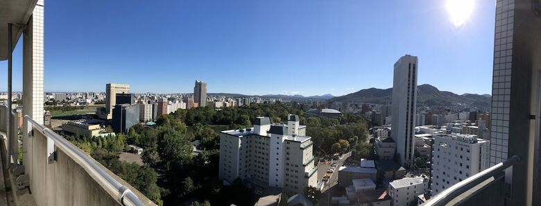 Apartamentos Ams Tower Nakajima
