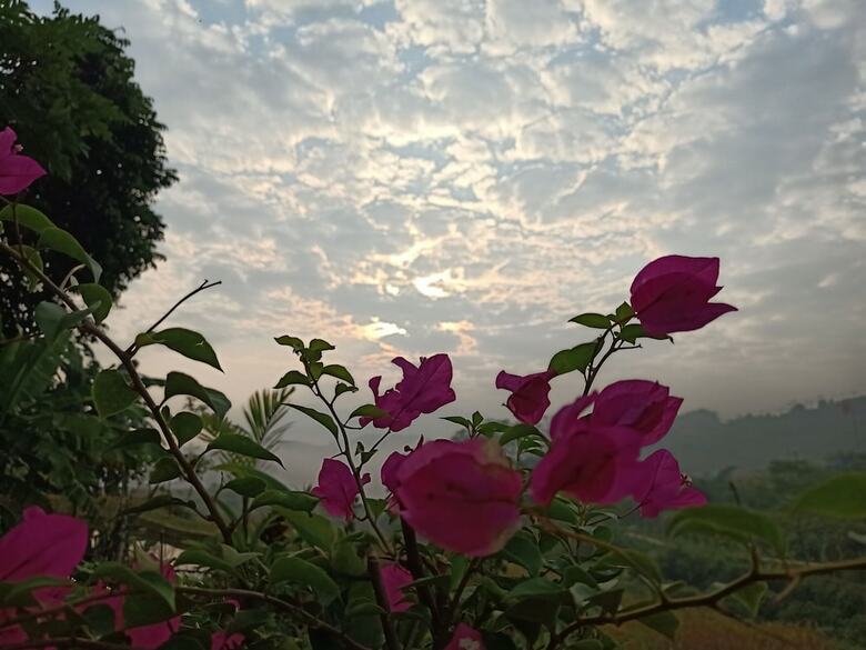 Hostal Pu Luong Discovery - Hostel