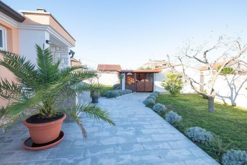Olive & Lavender Villa With Pool