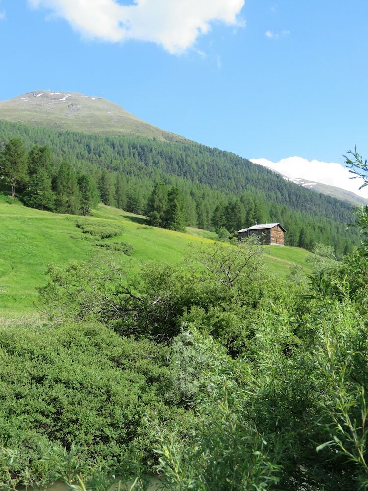 Hotel Galli