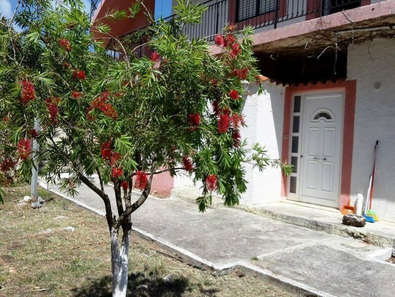 Apartamentos Nickolas & Reggina