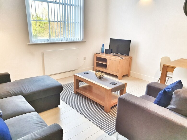Modern Executive Apartment In Reading