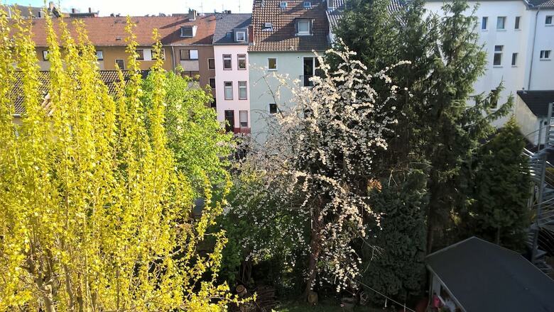 Apartamentos Wohnstube Koeln