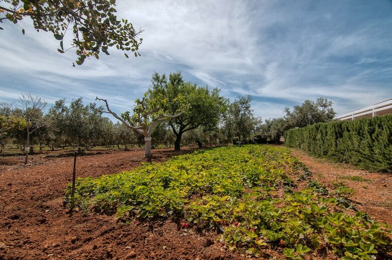Bed & Breakfast Relais Casina Miregia
