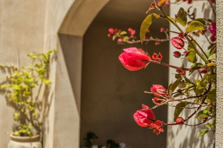 Bed & Breakfast Relais Casina Miregia