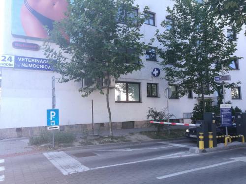 Apartman Maximilian